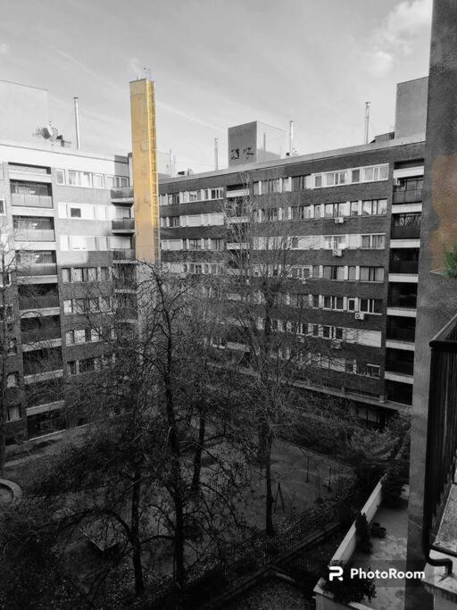 Apartament Danube Dwelling Asboth 19-2 Budapeszt Zewnętrze zdjęcie